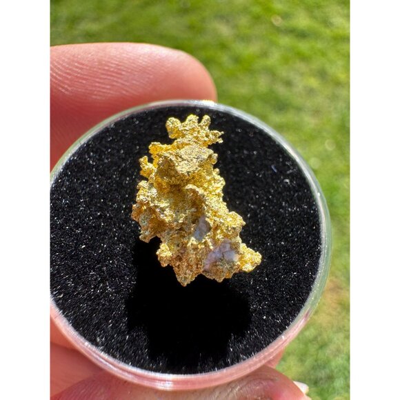 California Gold Crystal - 1.74 grams - Picture 4 of 11